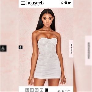 SILVER SPARKLE CORSET DRESS (SOLD OUT ONLINE) NWT